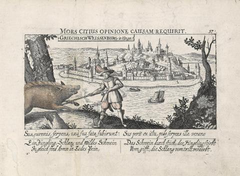 Belgrád látképe : Meisner, Daniel  – Kieser, Eberhard – Grieschisch Weissenburg in Unga:   Frankfurt am Main, 1623-1631. 