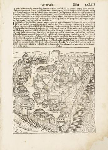 Szabács látképe : Schedel, Hartmann  - Szabács városának képzeletbeli látképe fametszet   Nürnberg, 1493, Anton Koberger 