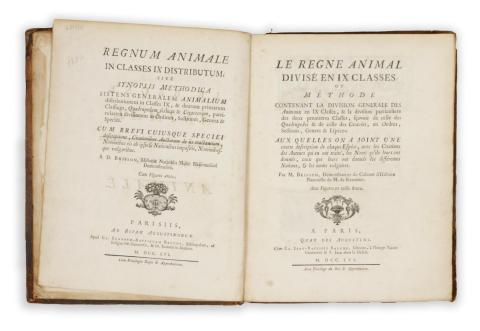 Brisson, Mathurin Jacques : Le regne animal divisé en IX classes ... / Regnum animale in classes IX distributum...  1756 Paris 