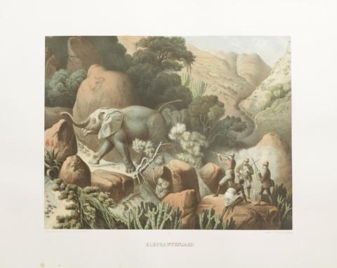 Reise des Herzogs Ernst von Sachsen-Coburg-Gotha nach Aegypten und den Ländern der Habab, Mensa und Bogos. Mit zwanzig zeichnungen. 1864 Leipzig, Arnold's 