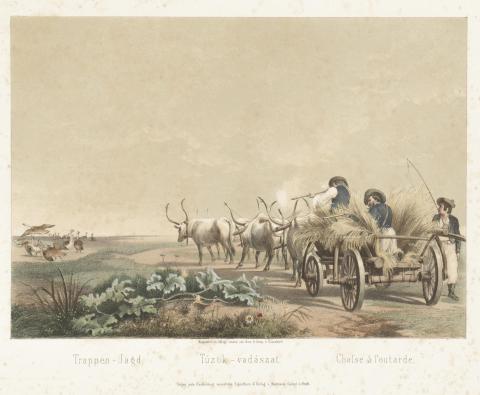Vázlatok Magyarhon népéletéből. XI. Túzok vadászat.  Trappen–Jagd. Chasse à l’outrade.  Pesth, 1855. Hermann Geibel. Lith.: Arnz & Comp. in Düsseldorf.  
