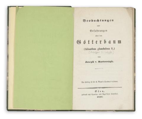 Bartosságh, Joseph von : Beobachtungen und Erfahrungen über den Götterbaum (Ailanthus Glandulosa L.).   Ofen [Buda], 1841. Gyurián és Bagó. 