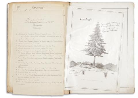 A Magas Fenyőfa-Társaság Emlékkönyve  Budapest, 1892. Országgyűlési értesítő kő- és könyvny. 