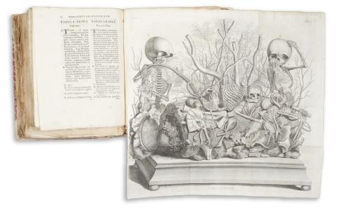 Ruysch, Frederik: Thesaurus Anatomicus Primus [-Decimus]  Amstelodami [Amsterdam], 1701-1726. Janssonio Waesbergios,  Janssonio Waesbergios 