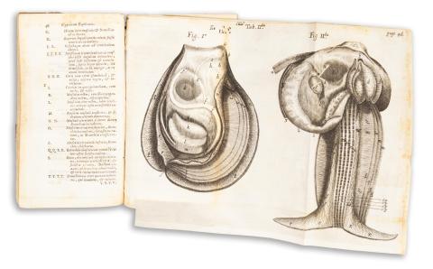 Willis, [Thomas] Thomae : De anima brutorum quæ hominis vitalis ac sensitiva est, exercitationes duæ. …  Amstelodami [Amsterdam], apud Johannem à Someren, 1674  