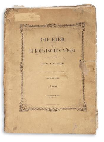 Baedecker, Friedrich: Die Eier der Europäischen Vögel nach der Natur gemalt…5 lieferung …von- - 1855 Leipzig und Iserlohn, Breitkopf und Hartel 