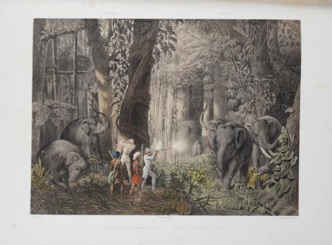 Andrásy, Emanuel [Manó Andrassy]: Reise des Grafen Emanuel Andrásy in Ostindien, Ceylon, Java, China und Bengalen...   Pest, 1859. Hermann Geibel. 