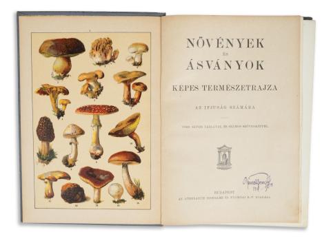 Növények és ásványok képes természetrajza. Az ifjúság számára.  Budapest, [1899.] Athenaeum  